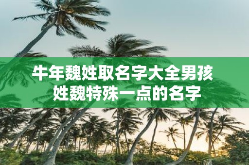 牛年魏姓取名字大全男孩 姓魏特殊一点的名字