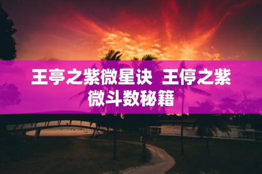 王亭之紫微星诀 王停之紫微斗数秘籍