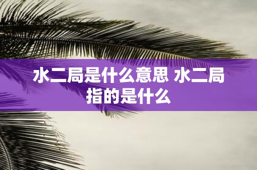 水二局是什么意思 水二局指的是什么