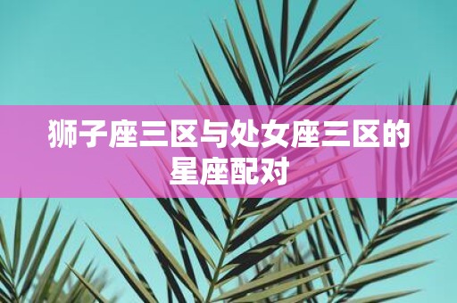 狮子座三区与处女座三区的星座配对