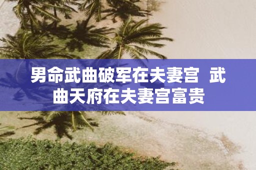 男命武曲破军在夫妻宫 武曲天府在夫妻宫富贵