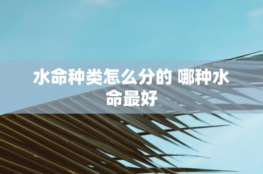 水命种类怎么分的 哪种水命最好