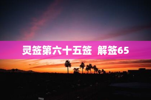 灵签第六十五签 解签65