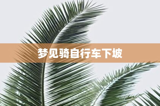 梦见骑自行车下坡