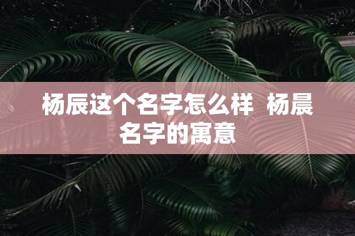 杨辰这个名字怎么样 杨晨名字的寓意