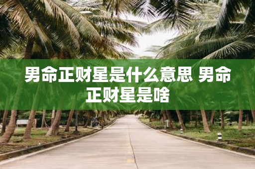 男命正财星是什么意思 男命正财星是啥