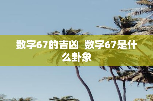 数字67的吉凶 数字67是什么卦象