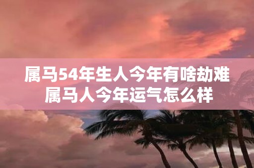 属马54年生人今年有啥劫难 属马人今年运气怎么样