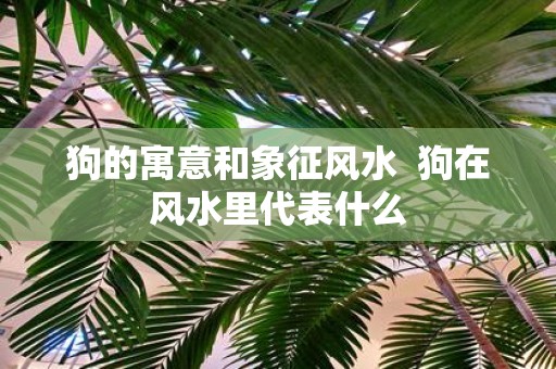 狗的寓意和象征风水 狗在风水里代表什么