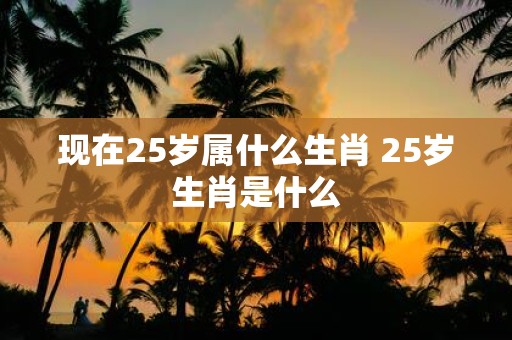 现在25岁属什么生肖 25岁生肖是什么