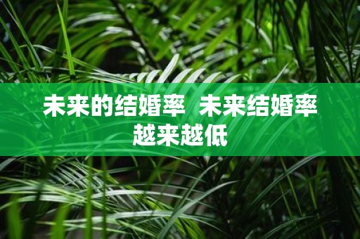 未来的结婚率 未来结婚率越来越低