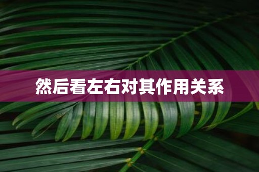 然后看左右对其作用关系