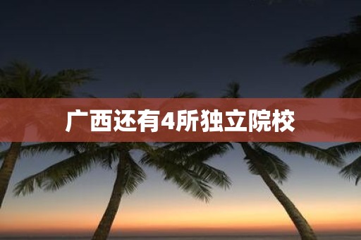 广西还有4所独立院校