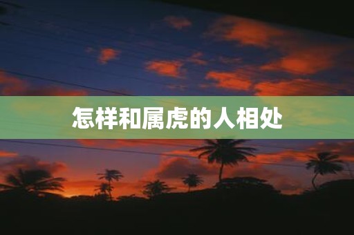 怎样和属虎的人相处