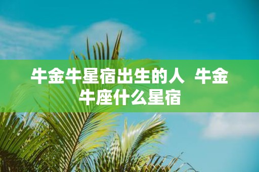 牛金牛星宿出生的人 牛金牛座什么星宿