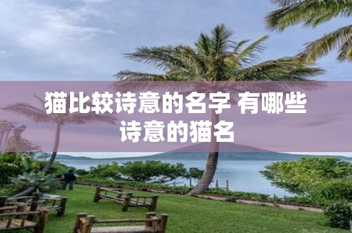 猫比较诗意的名字 有哪些诗意的猫名