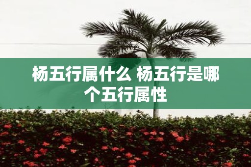 杨五行属什么 杨五行是哪个五行属性