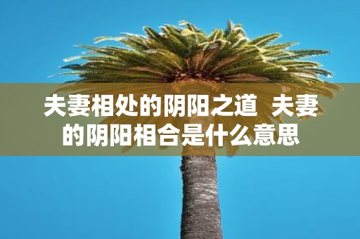 夫妻相处的阴阳之道 夫妻的阴阳相合是什么意思