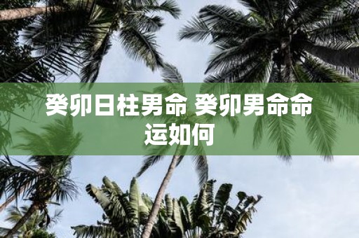 癸卯日柱男命 癸卯男命命运如何