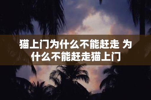 猫上门为什么不能赶走 为什么不能赶走猫上门