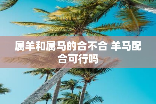 属羊和属马的合不合 羊马配合可行吗