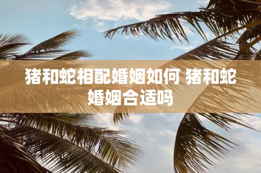 猪和蛇相配婚姻如何 猪和蛇婚姻合适吗