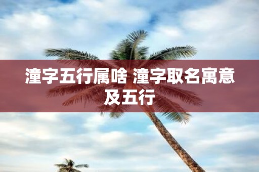 潼字五行属啥 潼字取名寓意及五行