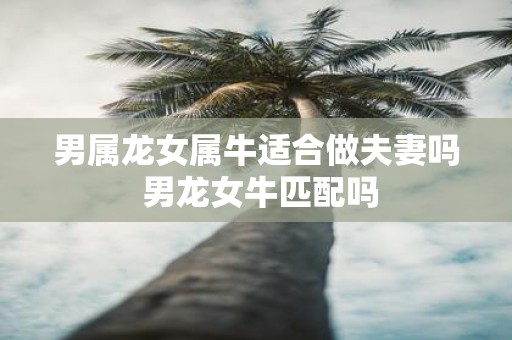 男属龙女属牛适合做夫妻吗 男龙女牛匹配吗