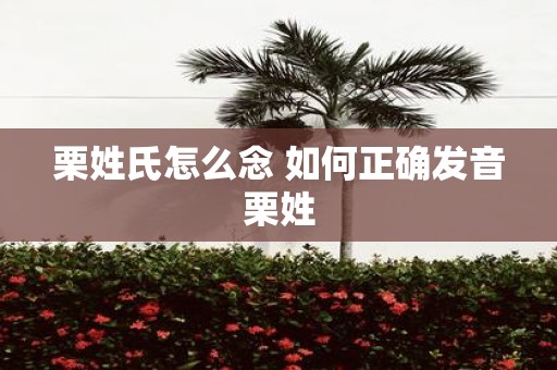 栗姓氏怎么念 如何正确发音栗姓