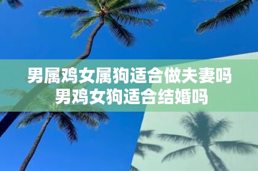 男属鸡女属狗适合做夫妻吗 男鸡女狗适合结婚吗