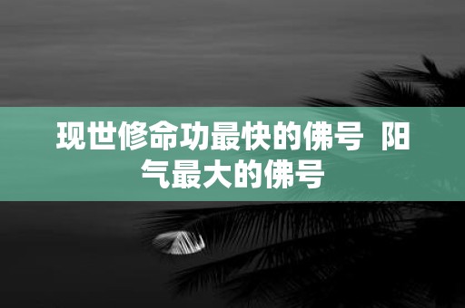 现世修命功最快的佛号 阳气最大的佛号
