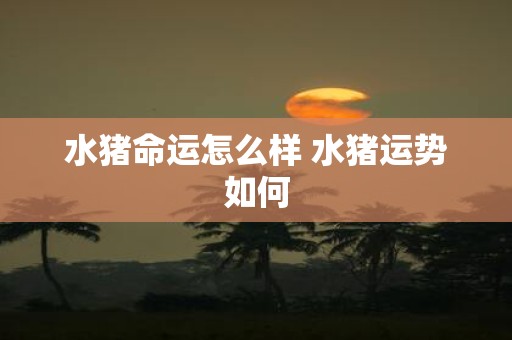 水猪命运怎么样 水猪运势如何