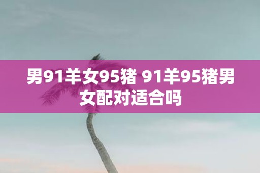 男91羊女95猪 91羊95猪男女配对适合吗