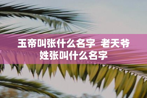 玉帝叫张什么名字 老天爷姓张叫什么名字