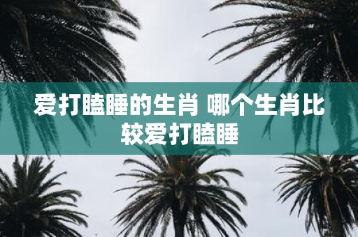 爱打瞌睡的生肖 哪个生肖比较爱打瞌睡