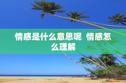 情感是什么意思呢 情感怎么理解