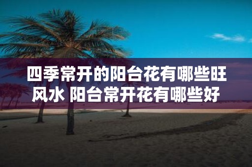 四季常开的阳台花有哪些旺风水 阳台常开花有哪些好风水