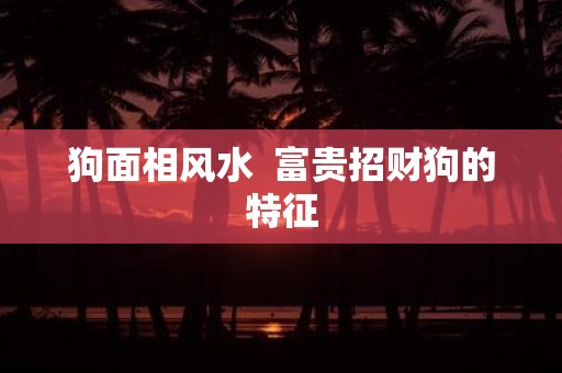 狗面相风水 富贵招财狗的特征