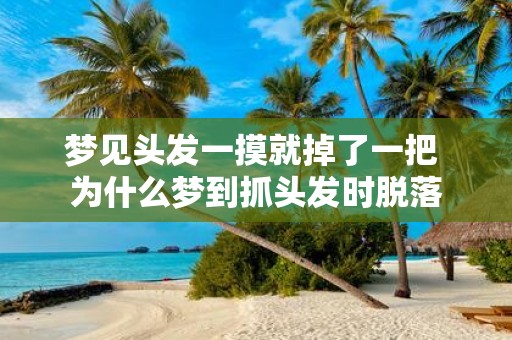梦见头发一摸就掉了一把 为什么梦到抓头发时脱落