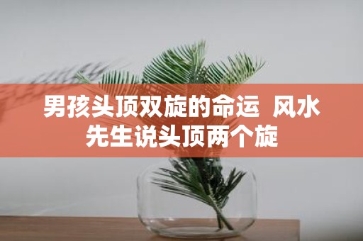 男孩头顶双旋的命运 风水先生说头顶两个旋
