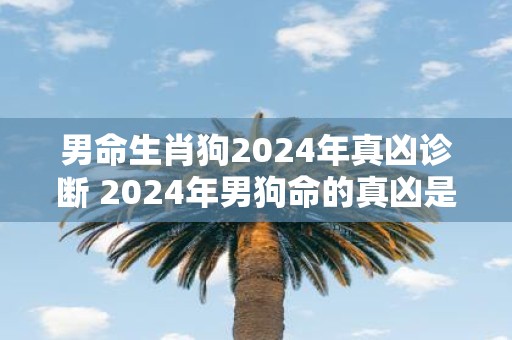 男命生肖狗2025年真凶诊断 2025年男狗命的真凶是谁