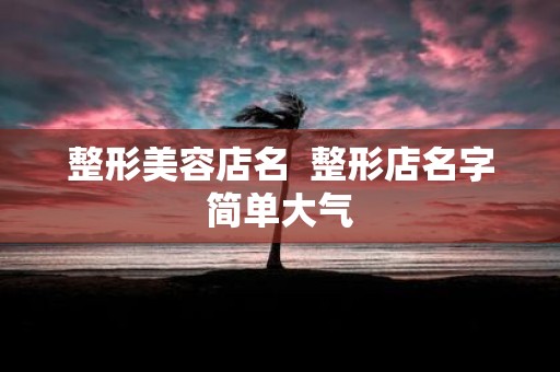 整形美容店名 整形店名字简单大气