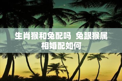 生肖猴和兔配吗 兔跟猴属相婚配如何