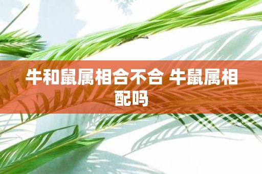 牛和鼠属相合不合 牛鼠属相配吗