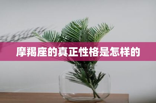 摩羯座的真正性格是怎样的