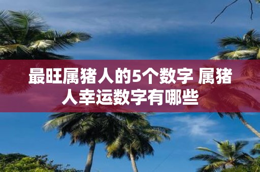 最旺属猪人的5个数字 属猪人幸运数字有哪些