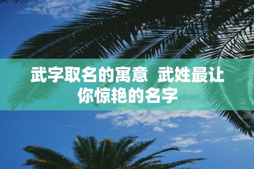 武字取名的寓意 武姓最让你惊艳的名字