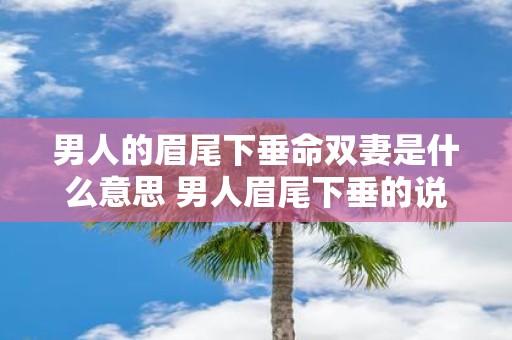 男人的眉尾下垂命双妻是什么意思 男人眉尾下垂的说法