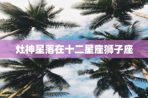 灶神星落在十二星座狮子座