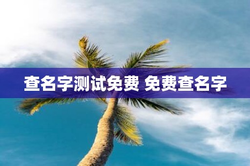 查名字测试免费 免费查名字